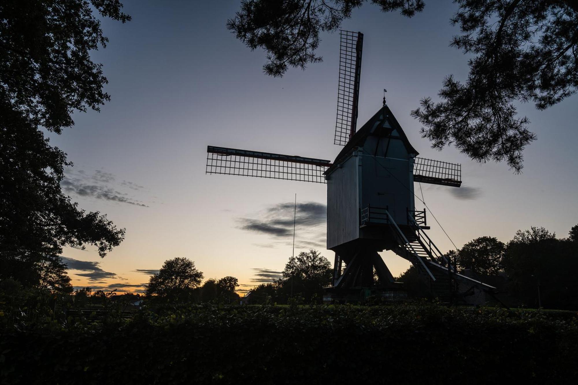 Beddermolen - Molenhuis Op Historisch Erfgoeddomein Βέστερλο Εξωτερικό φωτογραφία